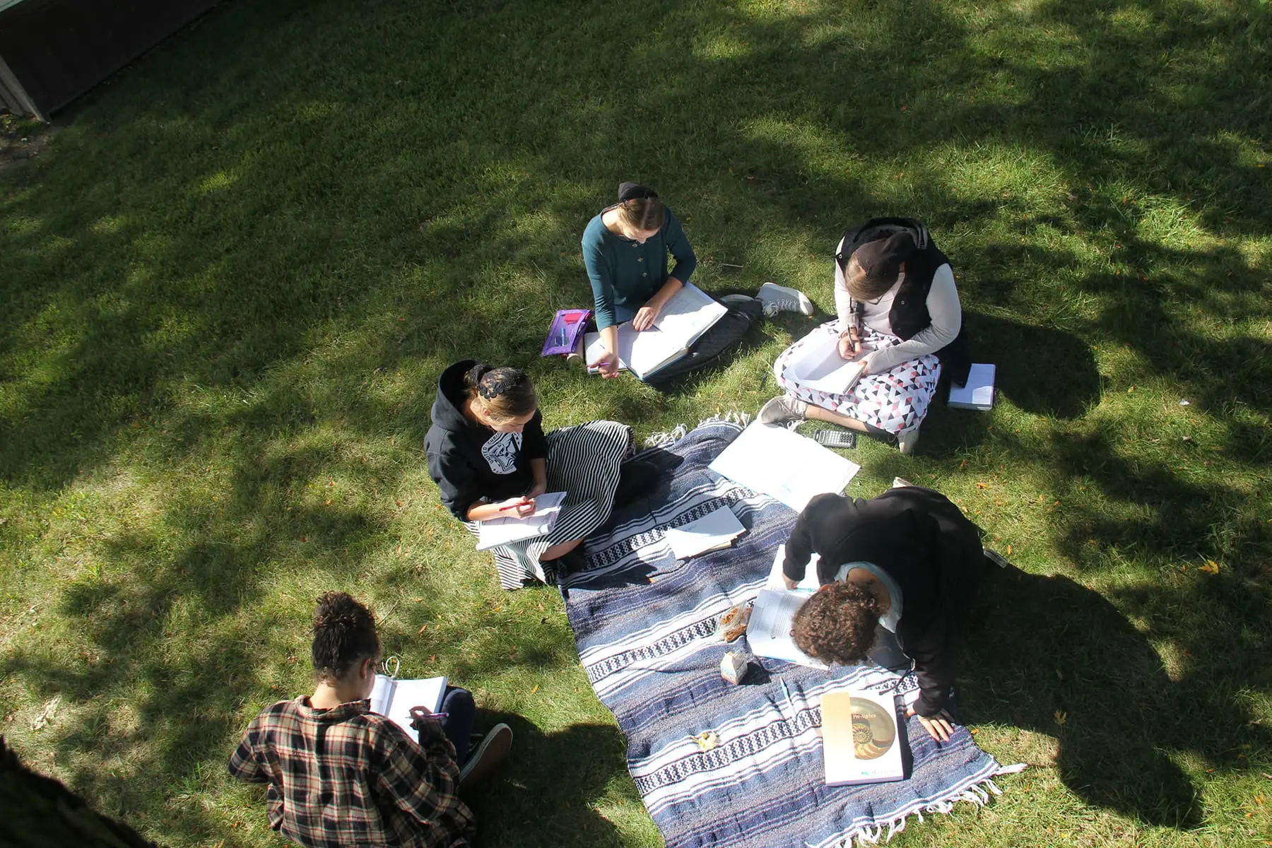 Group of UCS students studying outside in the yard